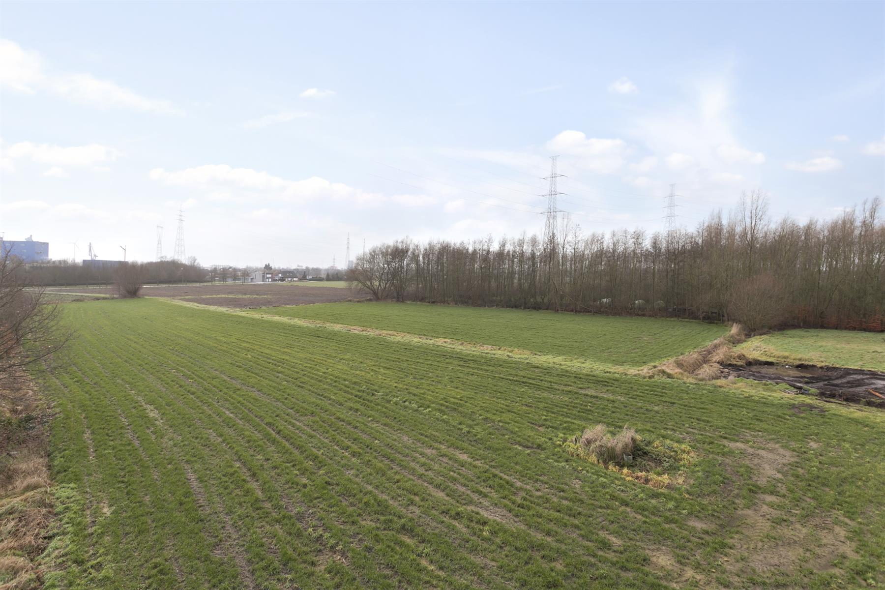 Afbeelding Landbouwgrond te koop in Doornzele - Casteels Vastgoed