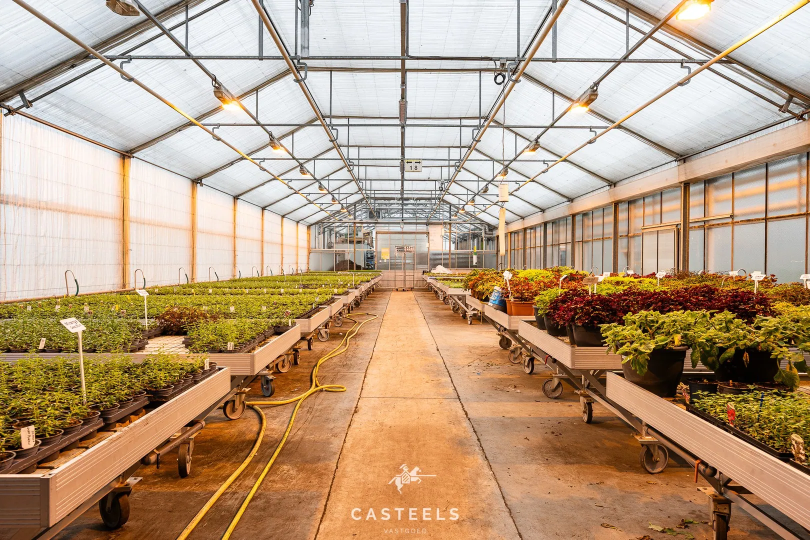 Afbeelding Modern tuinbouwsite op 1,98 ha met bedrijfswoning te koop - Casteels Vastgoed