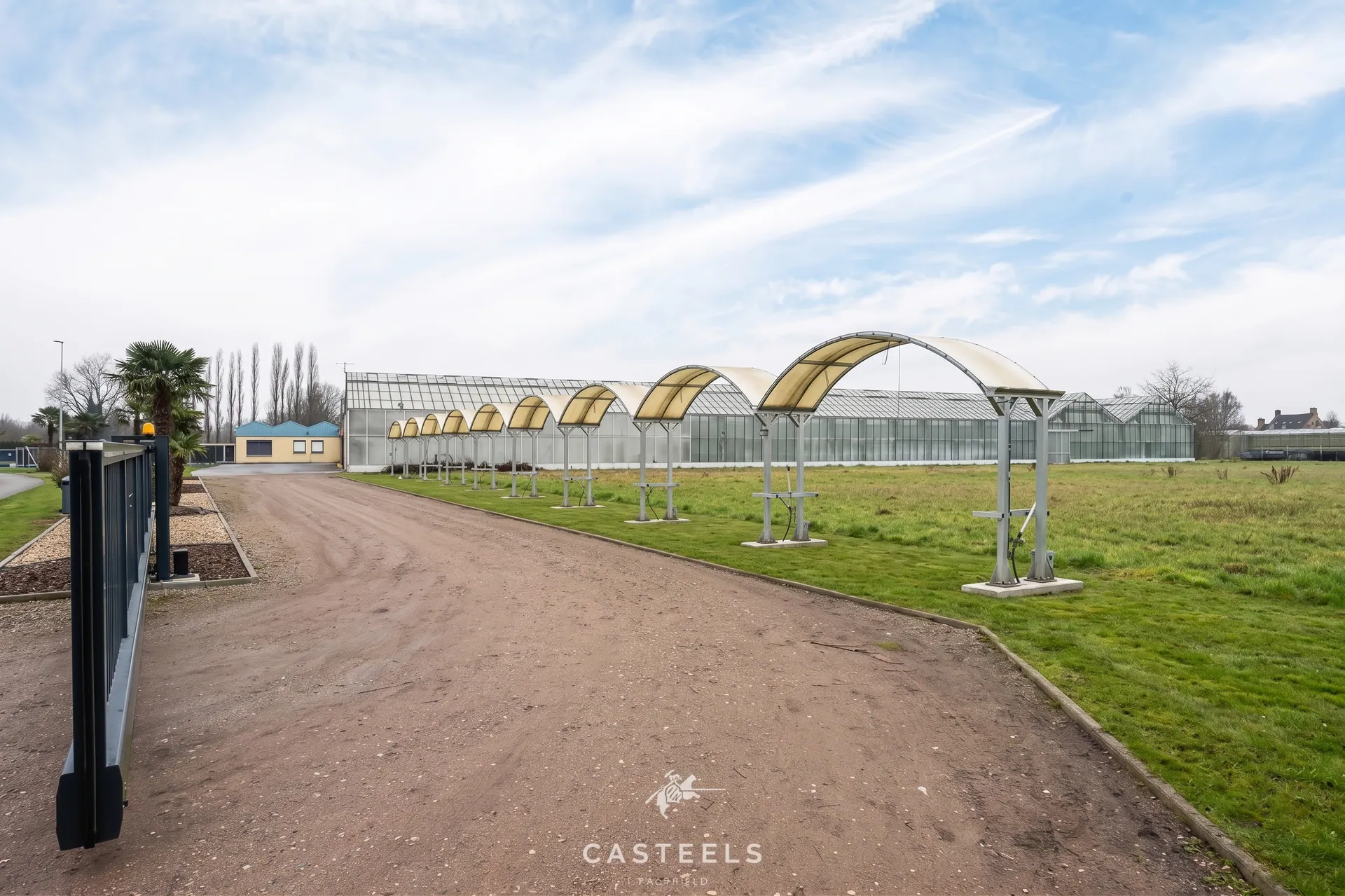 Afbeelding Sierteeltbedrijf 1,58 ha te koop op een toplocatie - Casteels Vastgoed