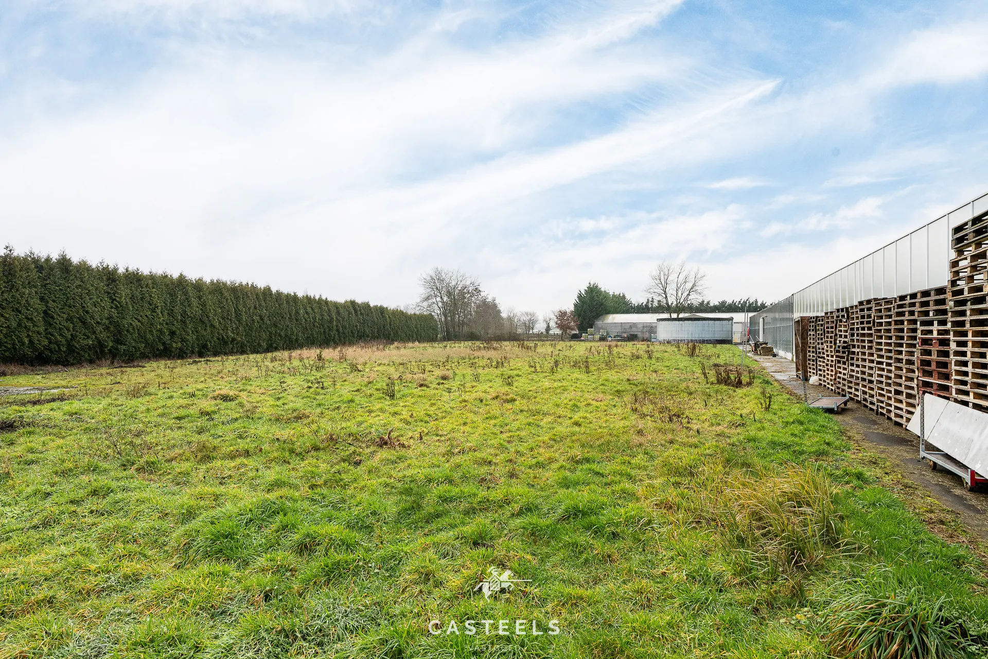 Afbeelding Tuinbouwbedrijf (1,98 ha) met 9.400m² serres en bedrijfswoning nabij E17/R4 - Casteels Vastgoed