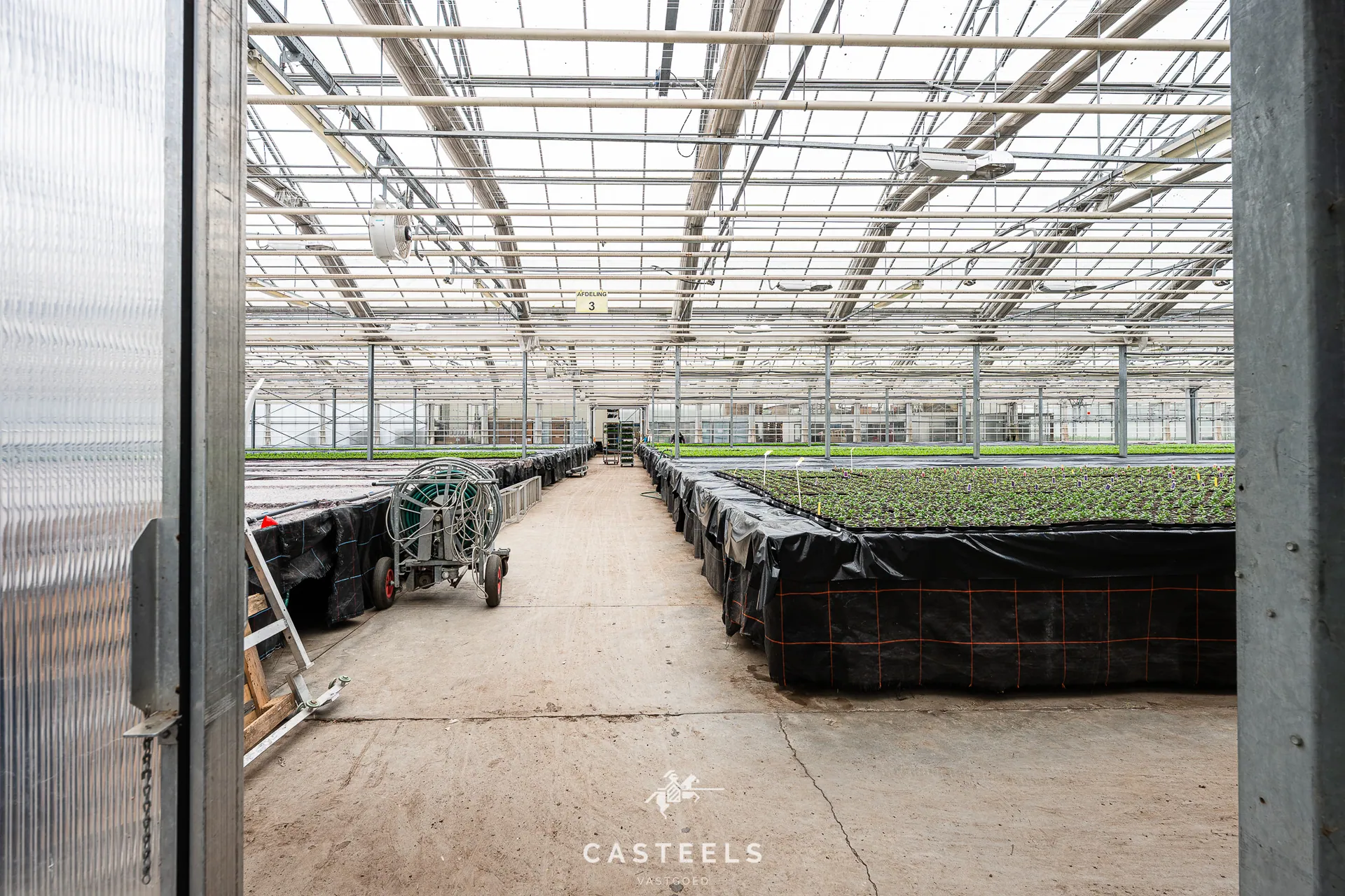 Afbeelding Tuinbouwbedrijf (1,98 ha) met 9.400m² serres en bedrijfswoning nabij E17/R4 - Casteels Vastgoed