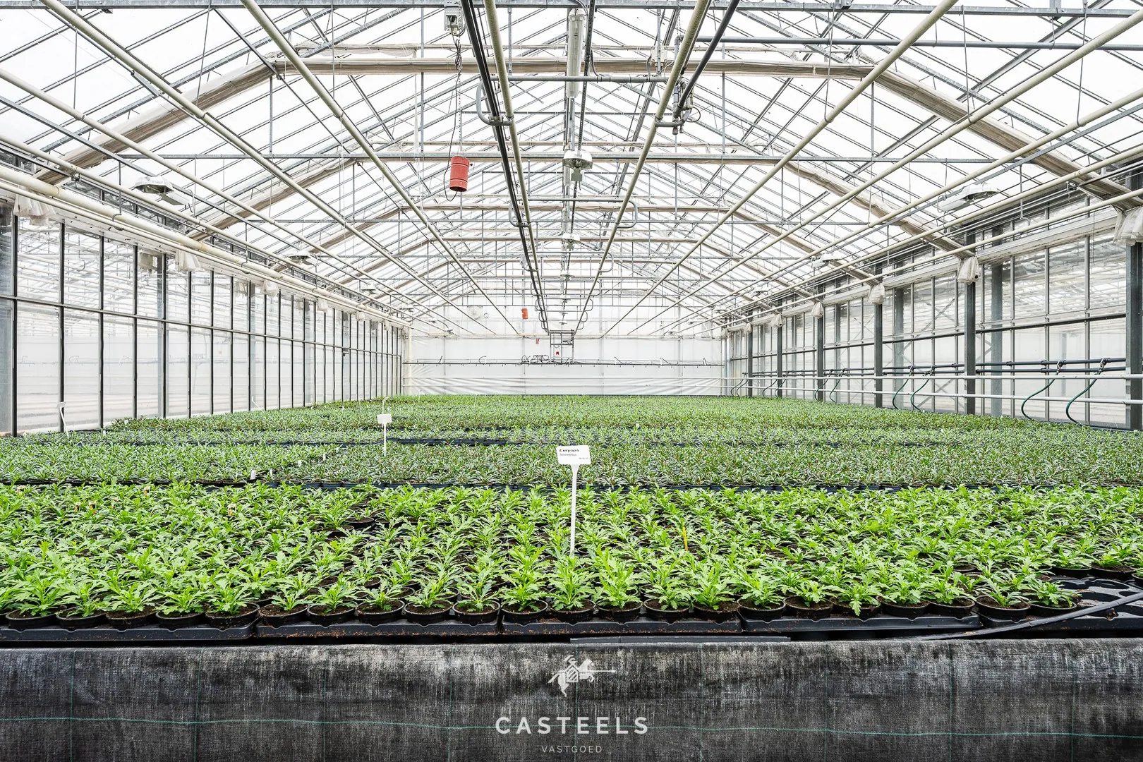 Afbeelding Tuinbouwbedrijf (1,98 ha) met 9.400m² serres en bedrijfswoning nabij E17/R4 - Casteels Vastgoed